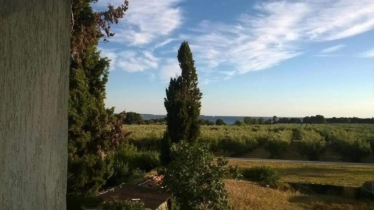 Mikelic Stara Barbariga Hotel Guest house